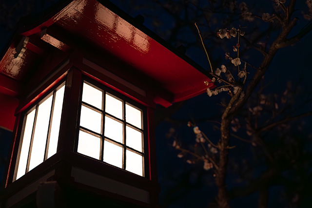 令和八年 祈念祭